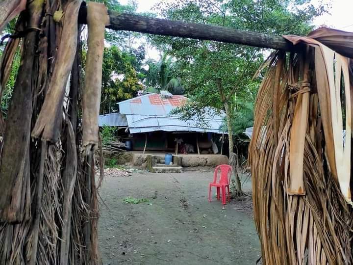 অবহেলায় গনতন্ত্রের পোস্টার দক্ষিণের জনপদের বিস্ময় শহীদ নূর হোসেনে'র পৈত্রিক ভিটা