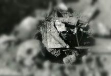 ২ এপ্রিল ১৯৭১ এর পাক হানাদারদের পরিকল্পিত গণহত্যা