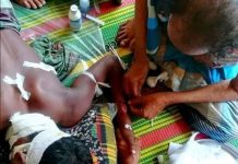 সুন্দরবনে বাঘের মুখ থেকে ছেলেকে কেড়ে নিয়ে আসলেন বাবা!